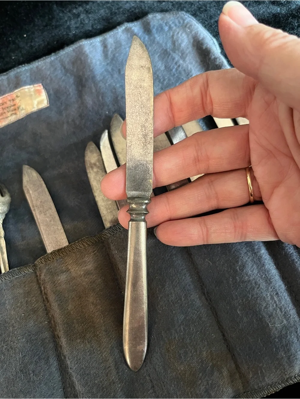Lot of 22 Vintage Silver Plated Silverware Cheese Fruit Knives, appetizer Forks